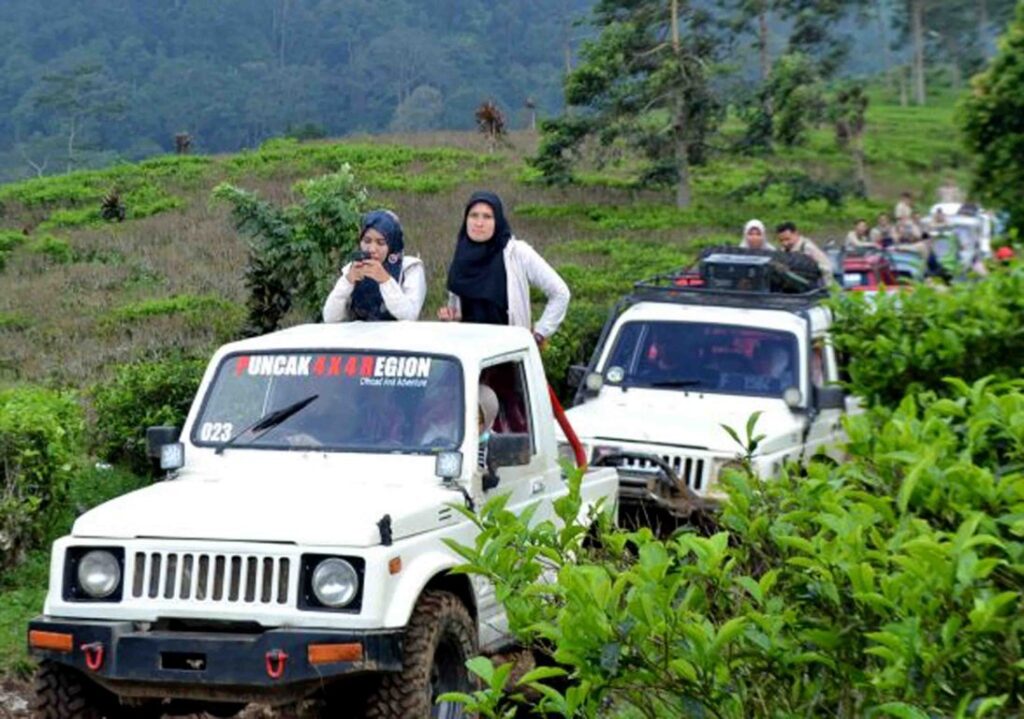 lintasan offroad terbaik