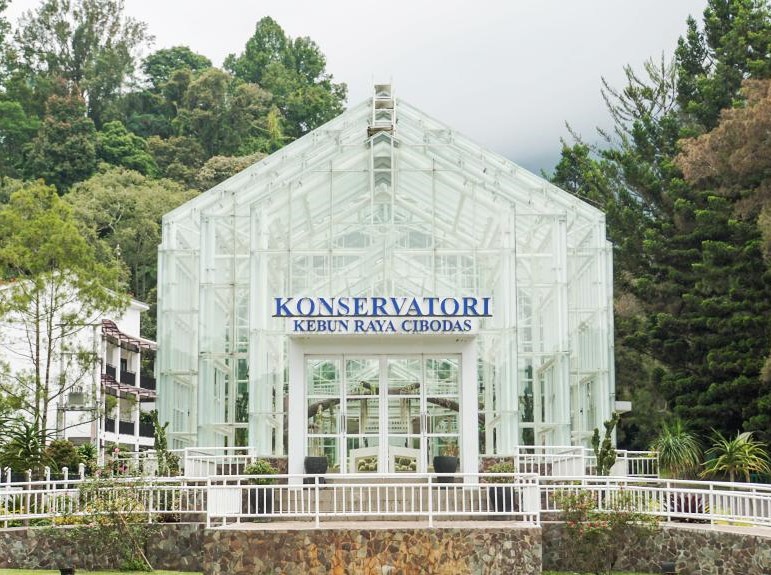 rekomendasi tempat gathering bernuansa alam di kawasan puncak bogor